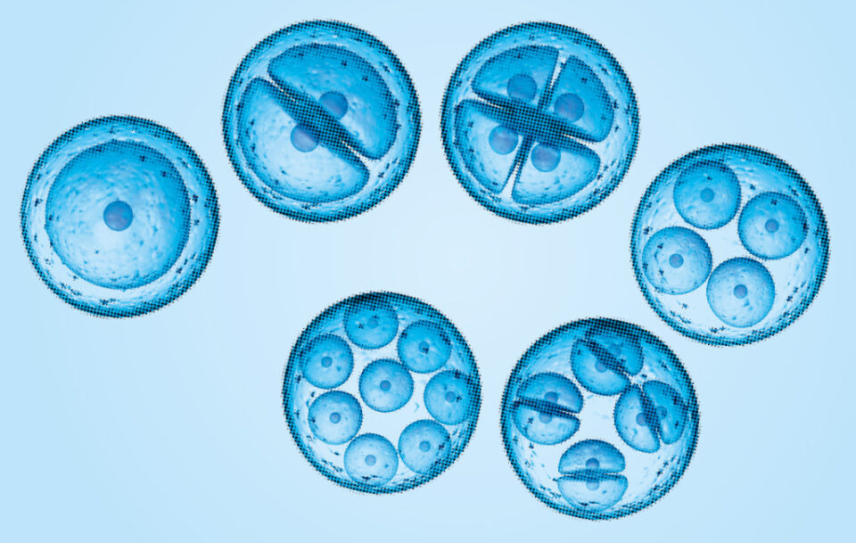 Haier-biomedical-ebm-papst-